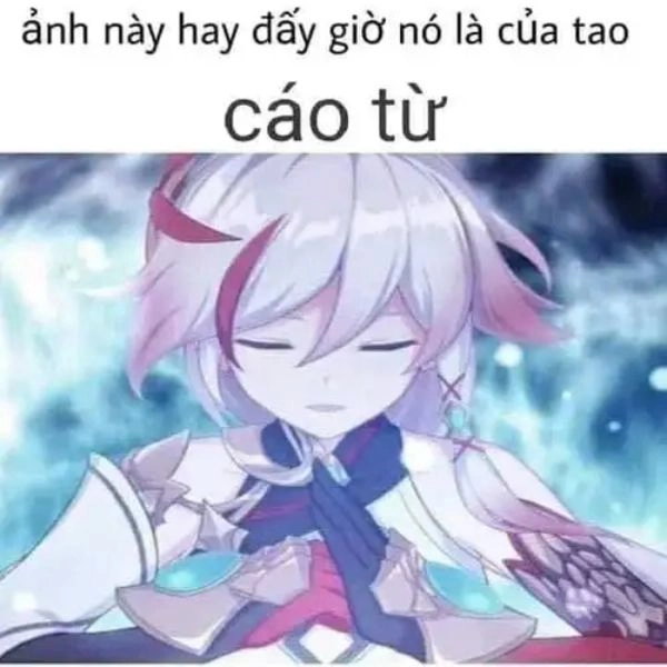 Meme cáo từ buông bỏ