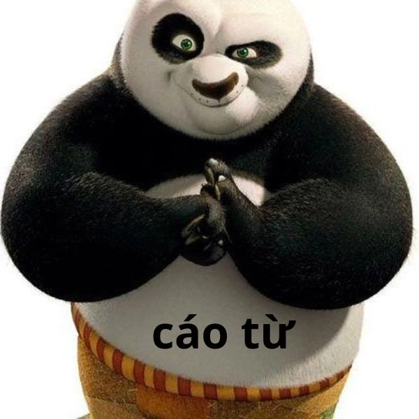 Meme cáo từ cute