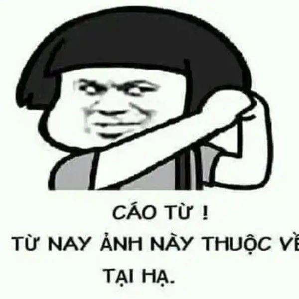 Meme cáo từ độc đáo