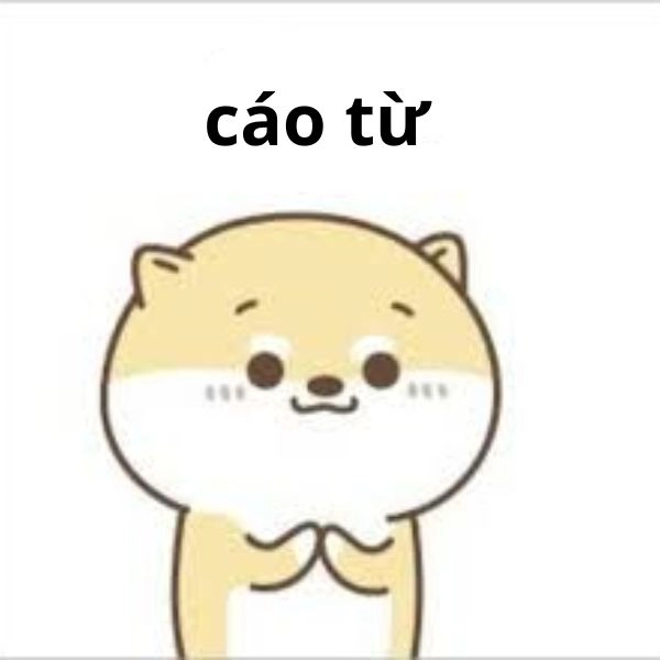 Meme cáo từ đời chán