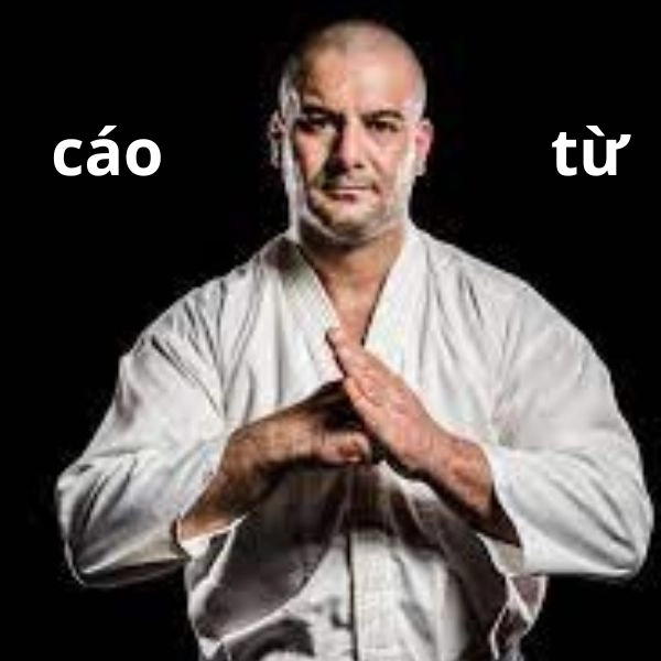 Meme cáo từ hài khó đỡ