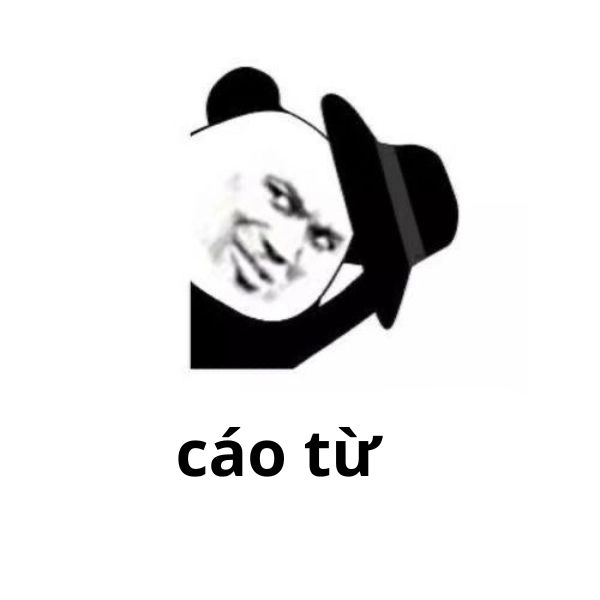 Meme gấu trúc cáo từ