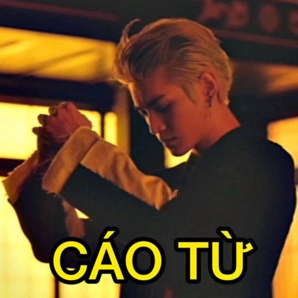 Xin cáo từ meme