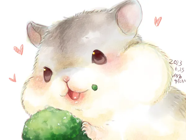 hình ảnh thú cưng cute anime chuột hamster mập mạp 