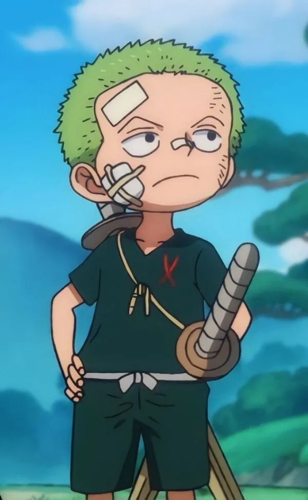 ảnh zoro bị thương