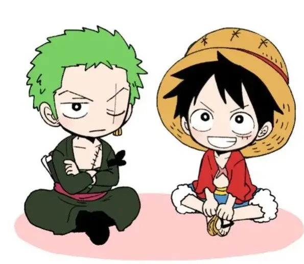 ảnh zoro và luffy