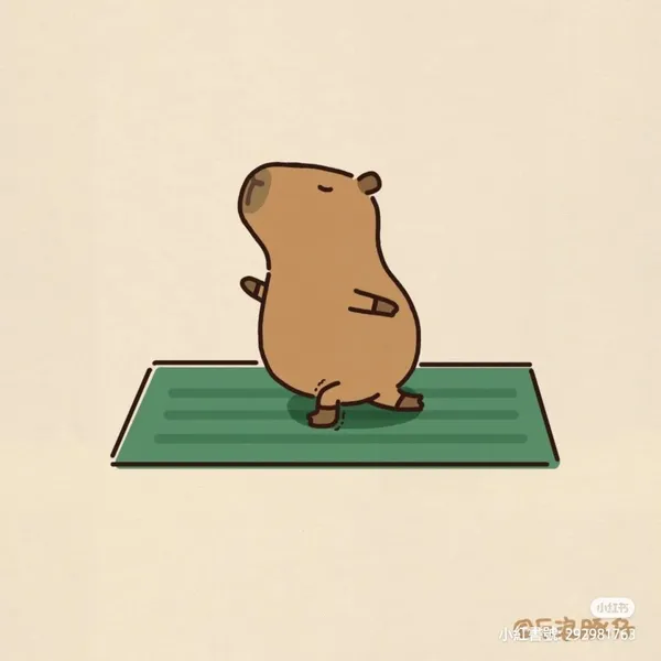 Hình nền capybara cute tập yoga