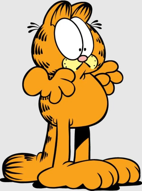 mèo garfield