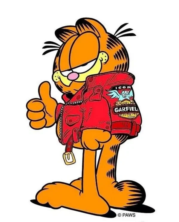 mèo garfield like 