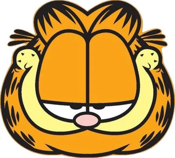 mèo garfield