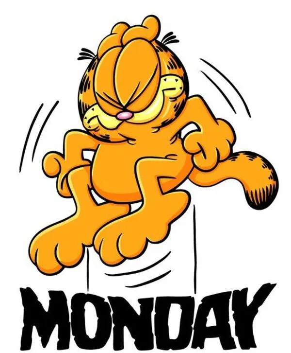 mèo garfield monday