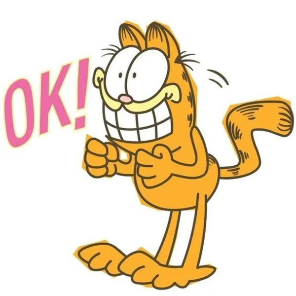 mèo garfield ok