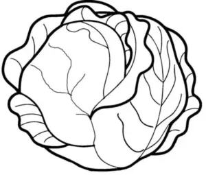 tranh tô màu rau củ quả