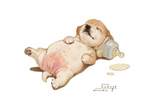 hình ảnh chó cute