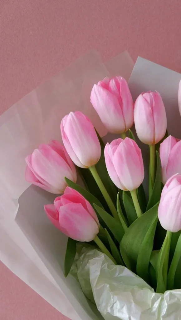 Top 60+ avatar hoa tulip hình nền cực đẹp cho mọi thiết bị