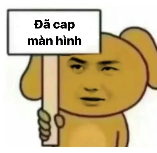 ảnh meme hài hước để cap màn hình 