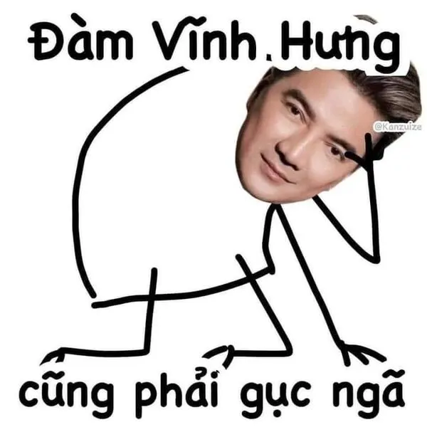 ảnh meme người người que đàm vĩnh hưng 