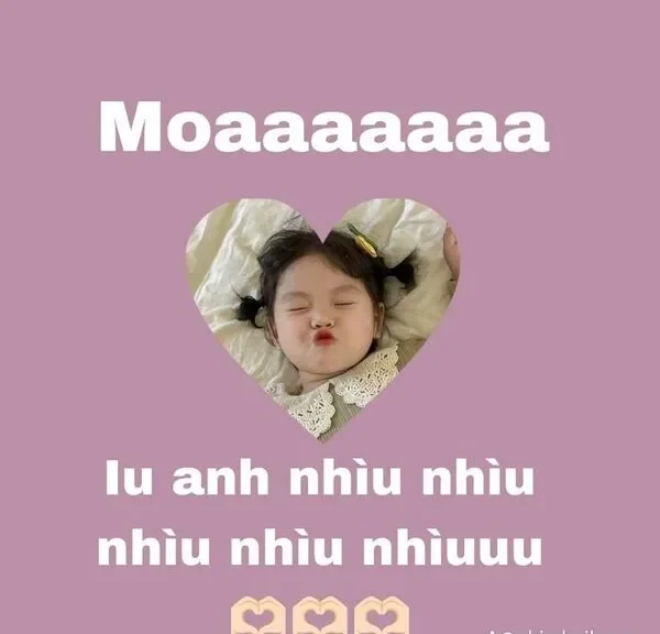 meme tình yêu yêu anh nhìu 