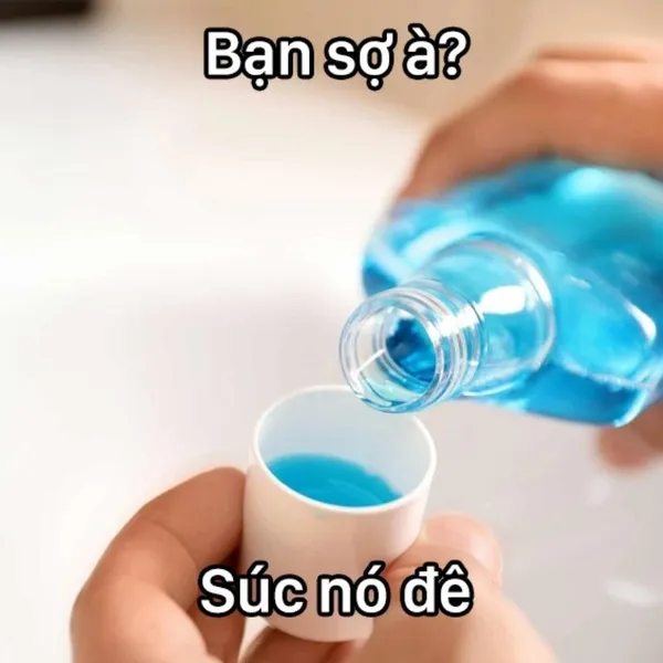 bạn sợ à meme súc nó đê 