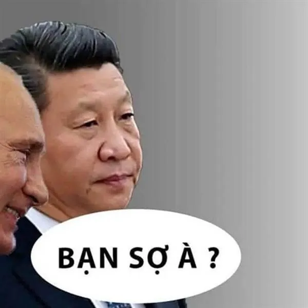 bạn sợ à meme thú vị 