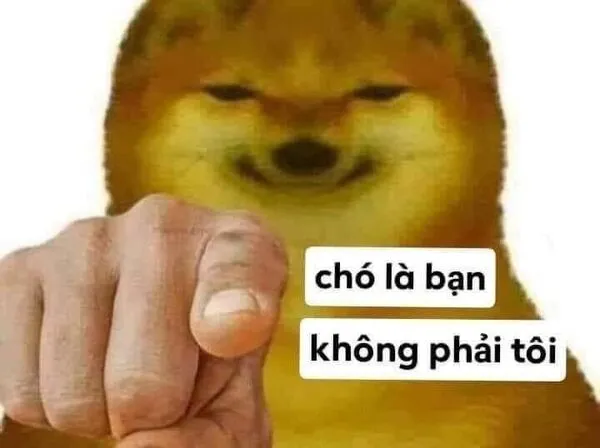 cheems meme chó là bạn 