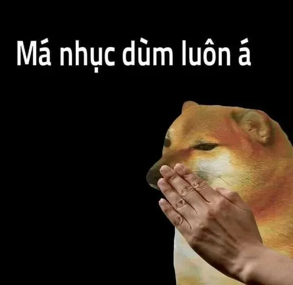 cheems meme má nhục dùm luôn á 