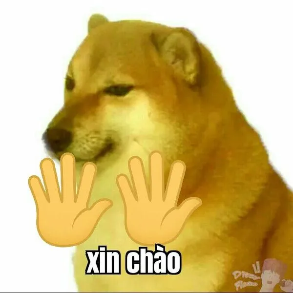 cheems meme xin chào 