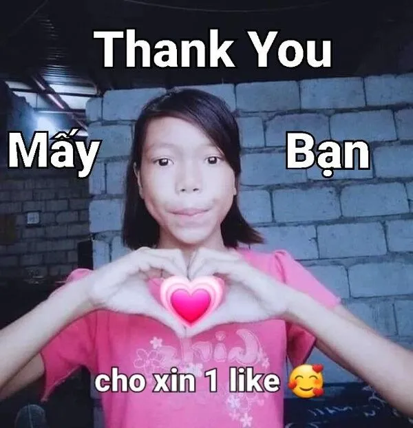 meme cảm ơn chế 