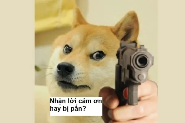 meme cảm ơn nhận lời cảm ơn 