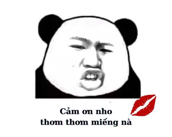 meme cảm ơn nhớ 