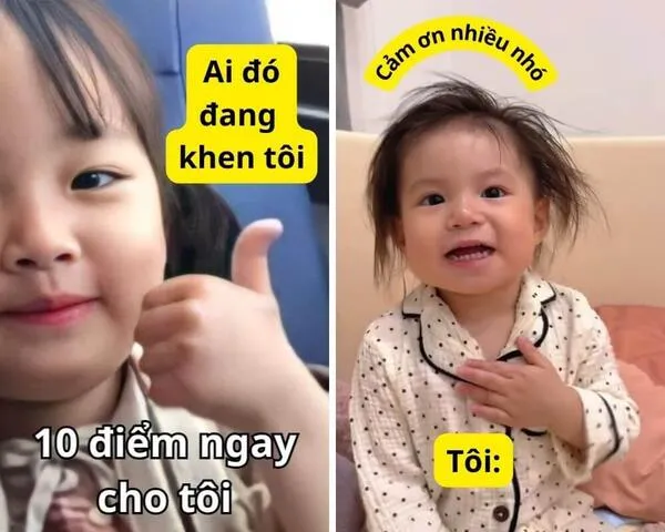 meme cảm ơn pam 