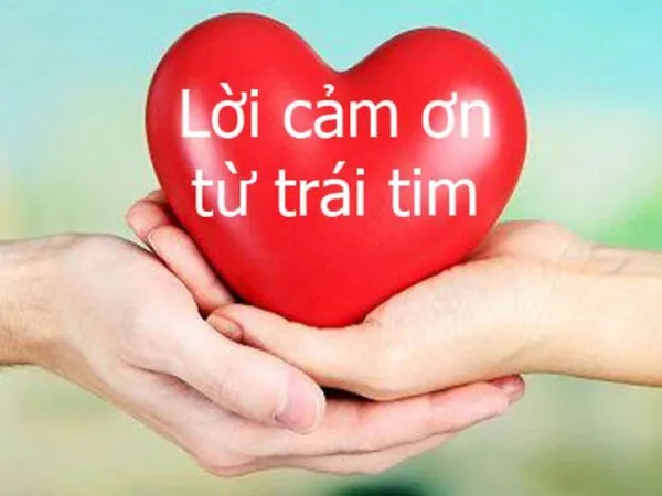 meme cảm ơn từ trái tim 