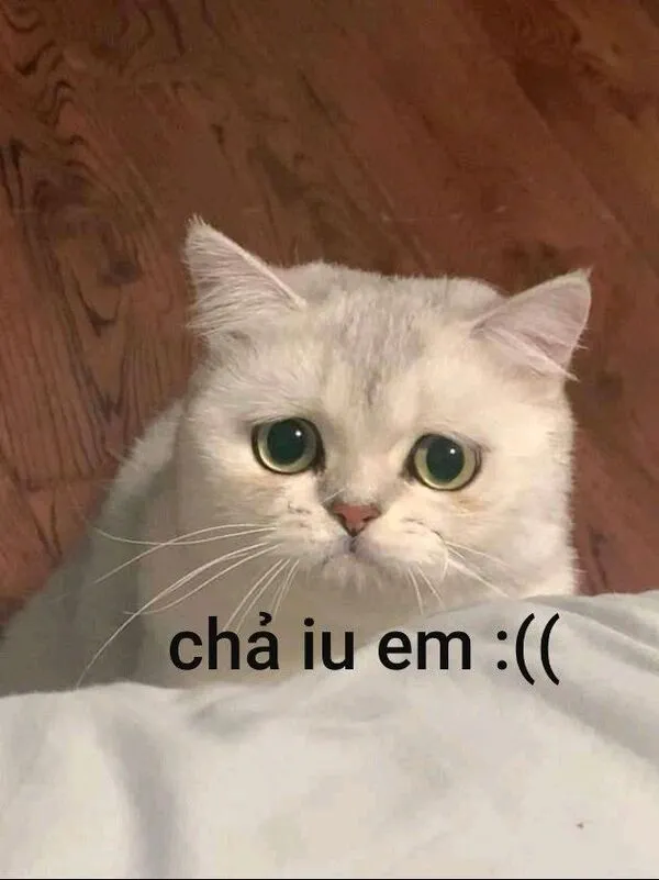 meme dỗi chả iu em 