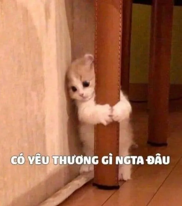 meme dỗi có yêu thương gì đâu 