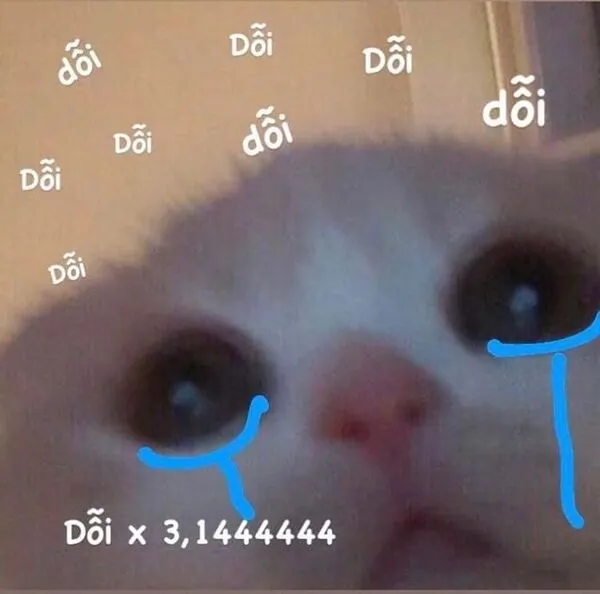 meme dỗi x3.14 