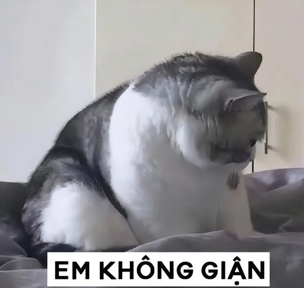 meme dỗi em không giận 