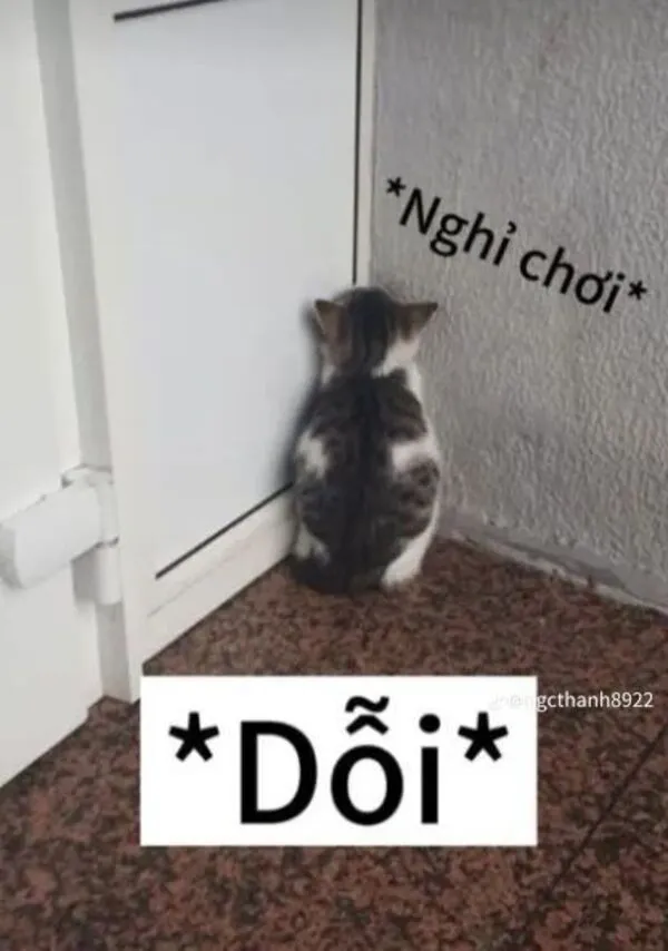 meme dỗi nghỉ chơi 