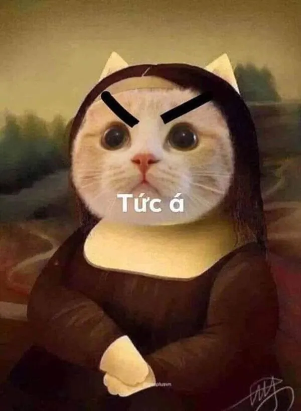 meme dỗi tức á 