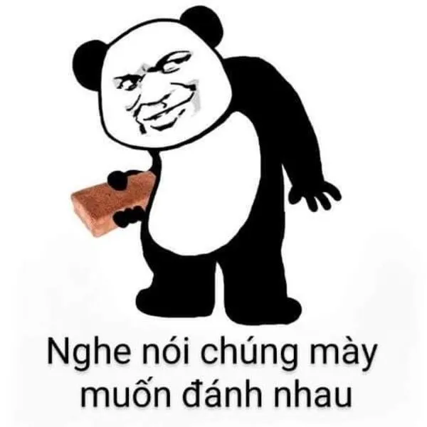 meme gấu trúc cáu giận 