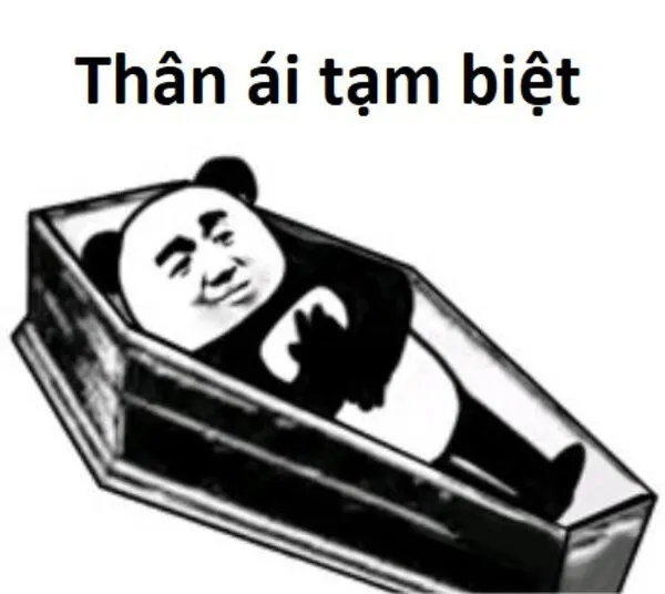 meme gấu trúc thân ái tạm biệt 