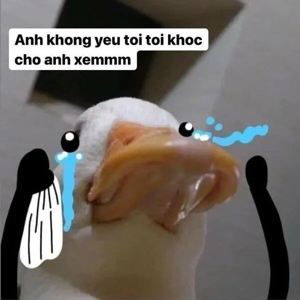 meme khóc anh không yêu tôi 