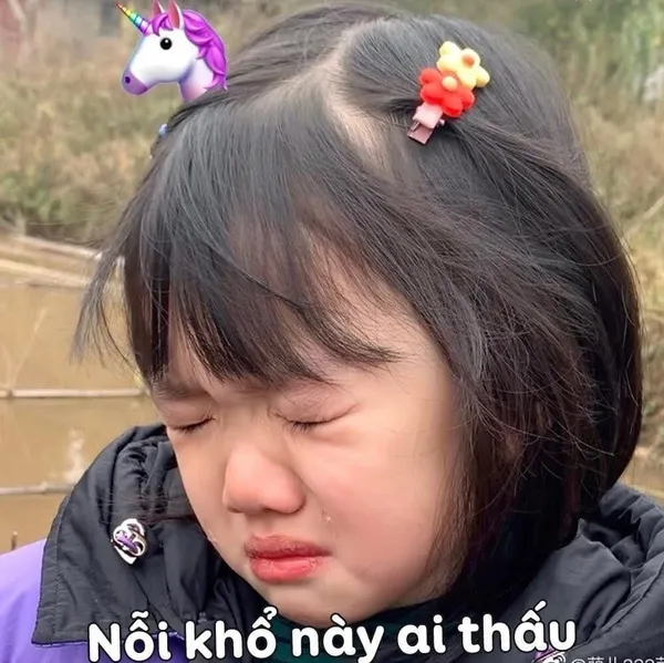 meme khóc loopy nỗi khổ này mấy ai thấy 