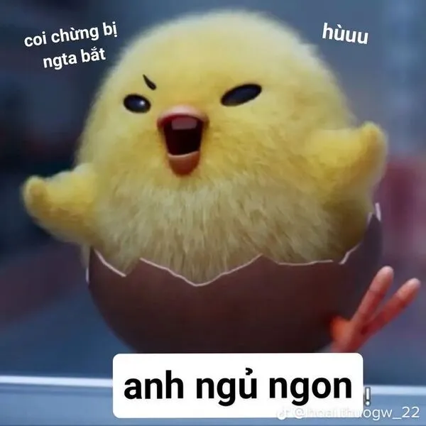 meme ngủ ngon chú vịt cute 