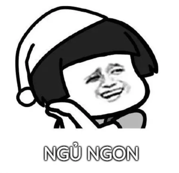 meme ngủ ngon gấu trúc 