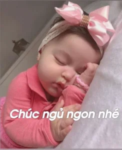 meme ngủ ngon nhé