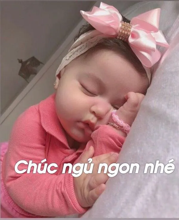 meme ngủ ngon nhé 