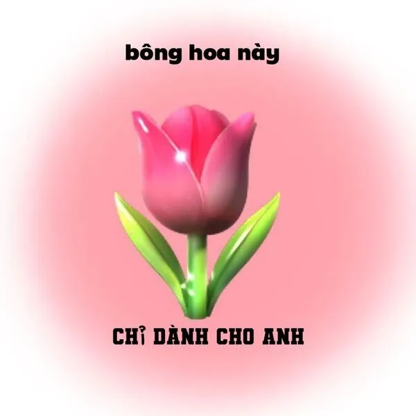 meme tặng hoa chỉ dành cho anh 