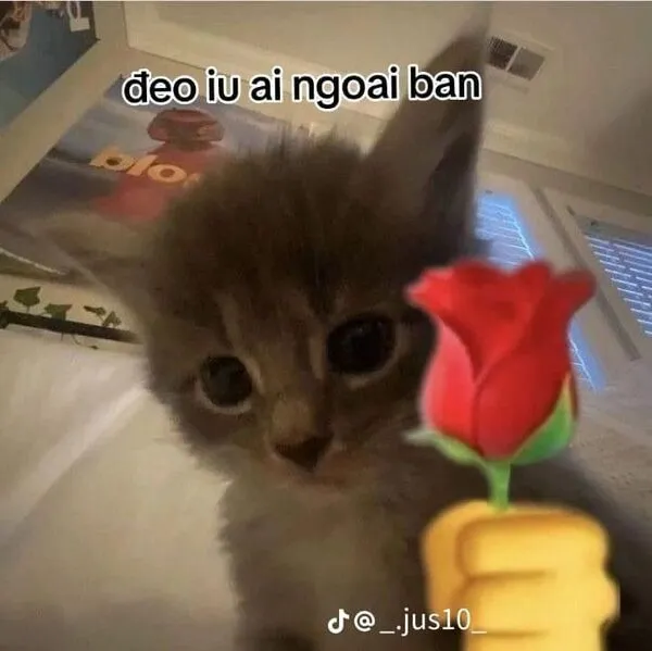 meme tặng hoa đéo iu ai ngoài bạn 