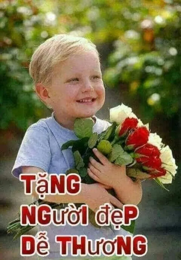 meme tặng hoa tặng người đẹp 