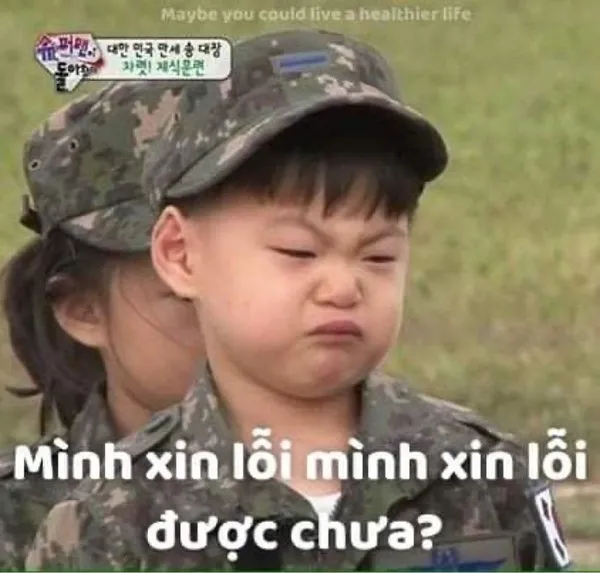 meme xin lỗi được chưa